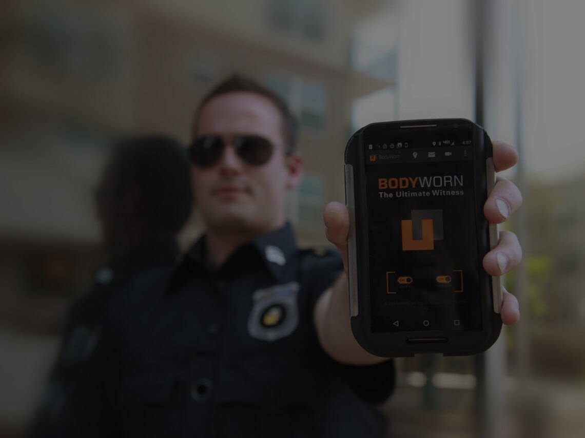 Pretium erat non nisl auctor blandit